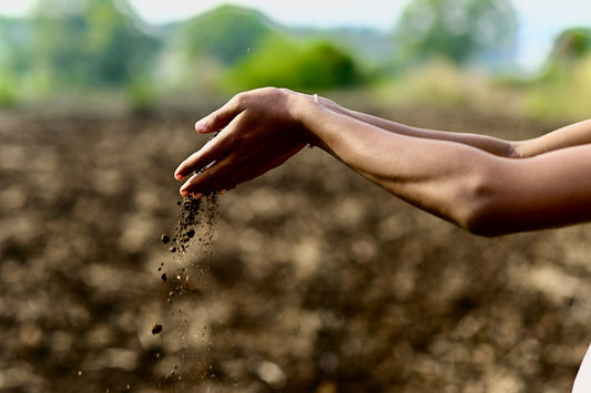 O que é compostagem?