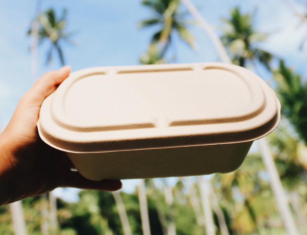 Sistemas Agroflorestais e o Sequestro de Carbono