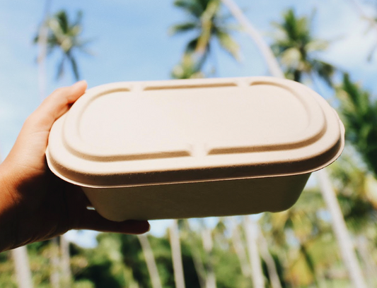 Sistemas Agroflorestais e o Sequestro de Carbono