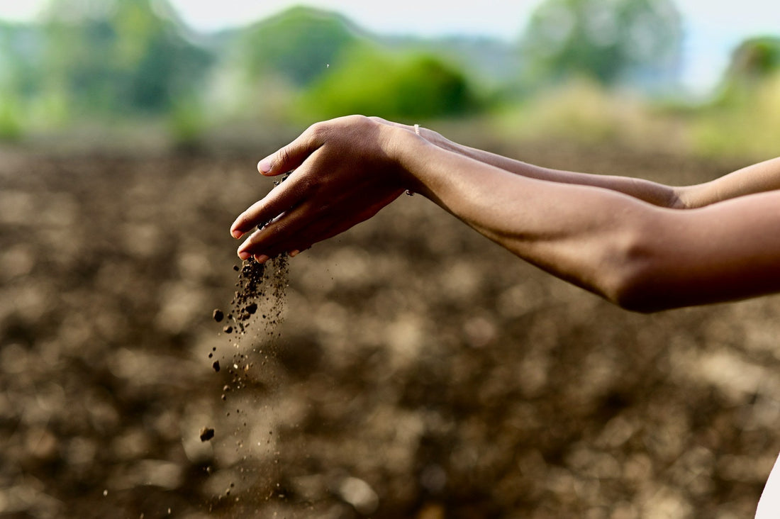 O que é compostagem?