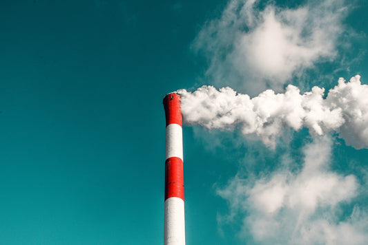 Mudanças climáticas e a Neutralização de Carbono