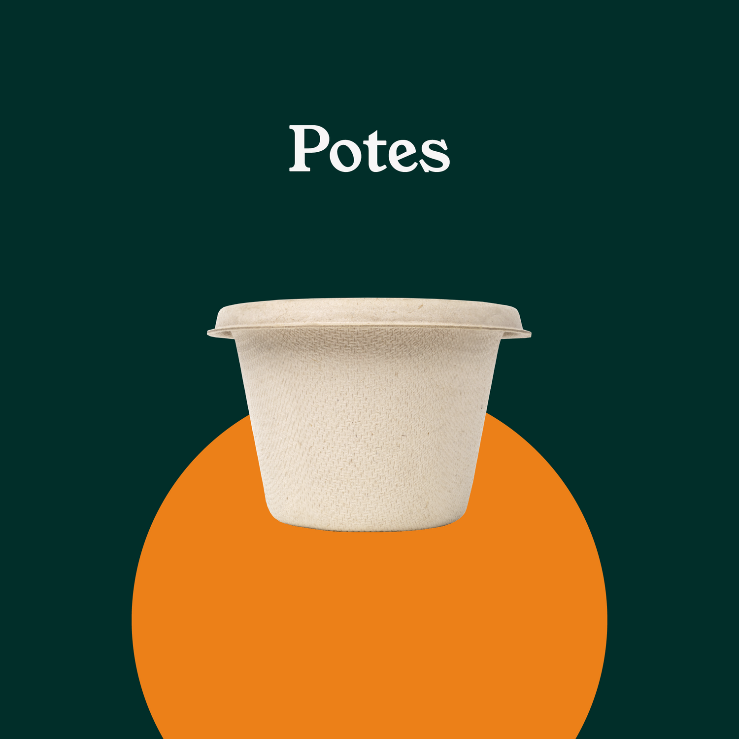 Kit Marmita 500ml Com Tampa Terraw Embalagens kit-marmita-500ml-com-tampa-terraw-embalagens